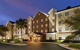 Staybridge Suites Tampa East- Brandon By Ihg